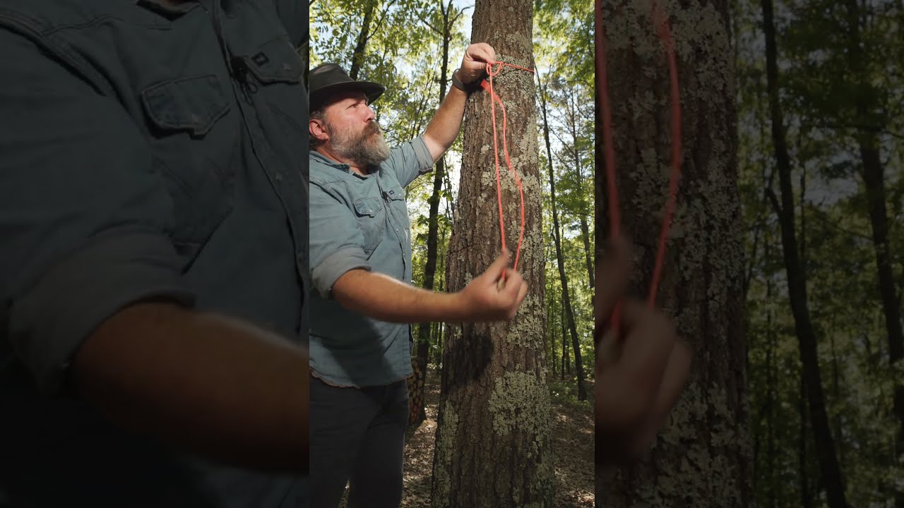 Do YOU Know THIS Survival Shelter Bushcraft Camping