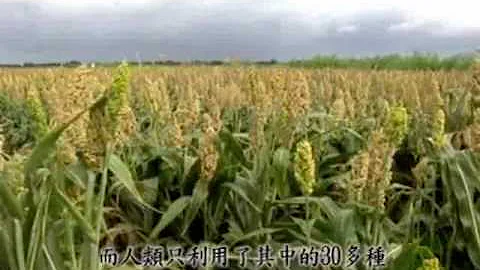 繽紛生命之歌─生物多樣性 - 天天要聞