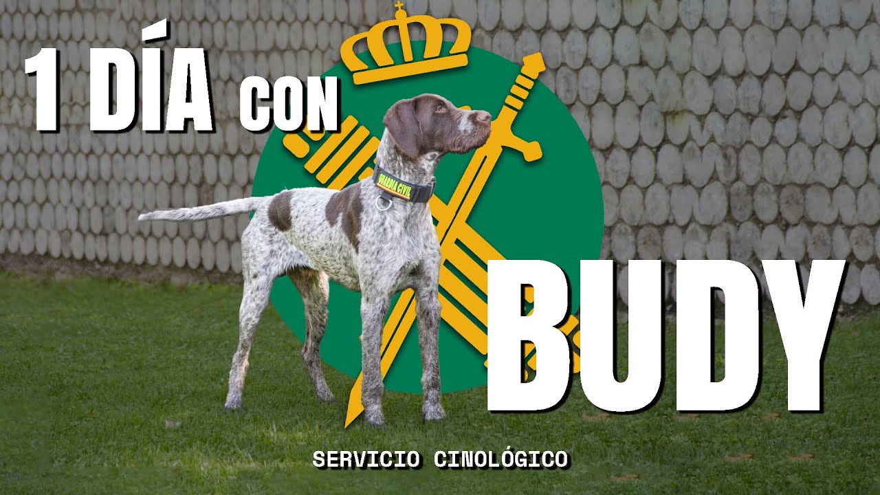 Un día con Budy del Servicio Cinológico