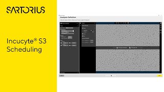 Incucyte® S3 Tutorial video: How to Setup a Scan screenshot 5