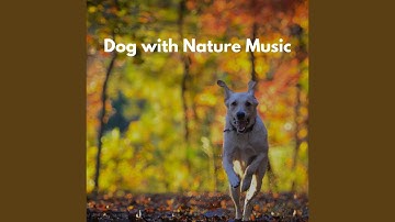 Awesome Backdrops for Forgetting Mirrors