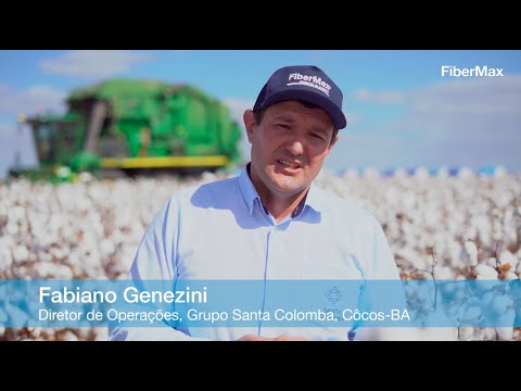 Colheita de Algodão BASF no Grupo Santa Colomba - Fabiano Genesini