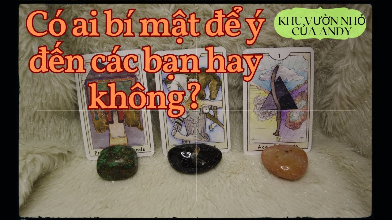Có ai bí mật để ý đến các bạn hay không? | Chọn 1 tụ bài | Xem tarot