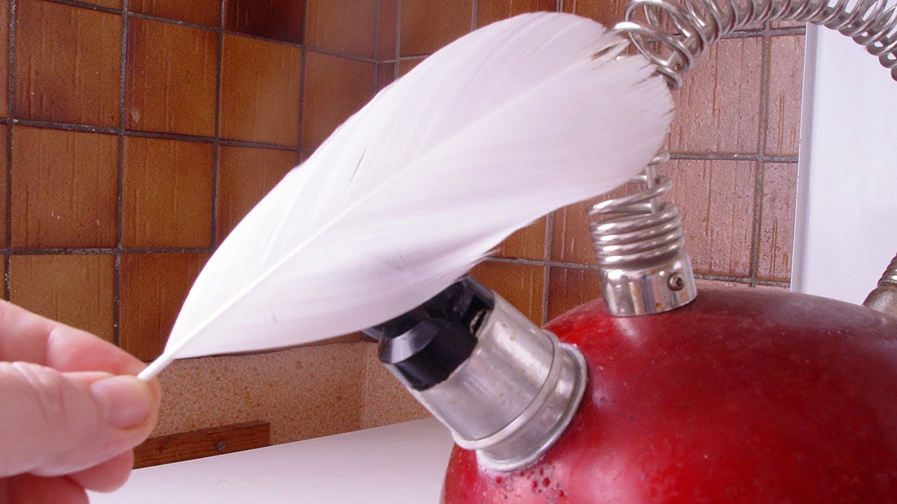 Plumes De Montage De Mouches Teinte De Poule - Lot De 5 Couleurs Pour Pêche à La Mouche Et Artisanat