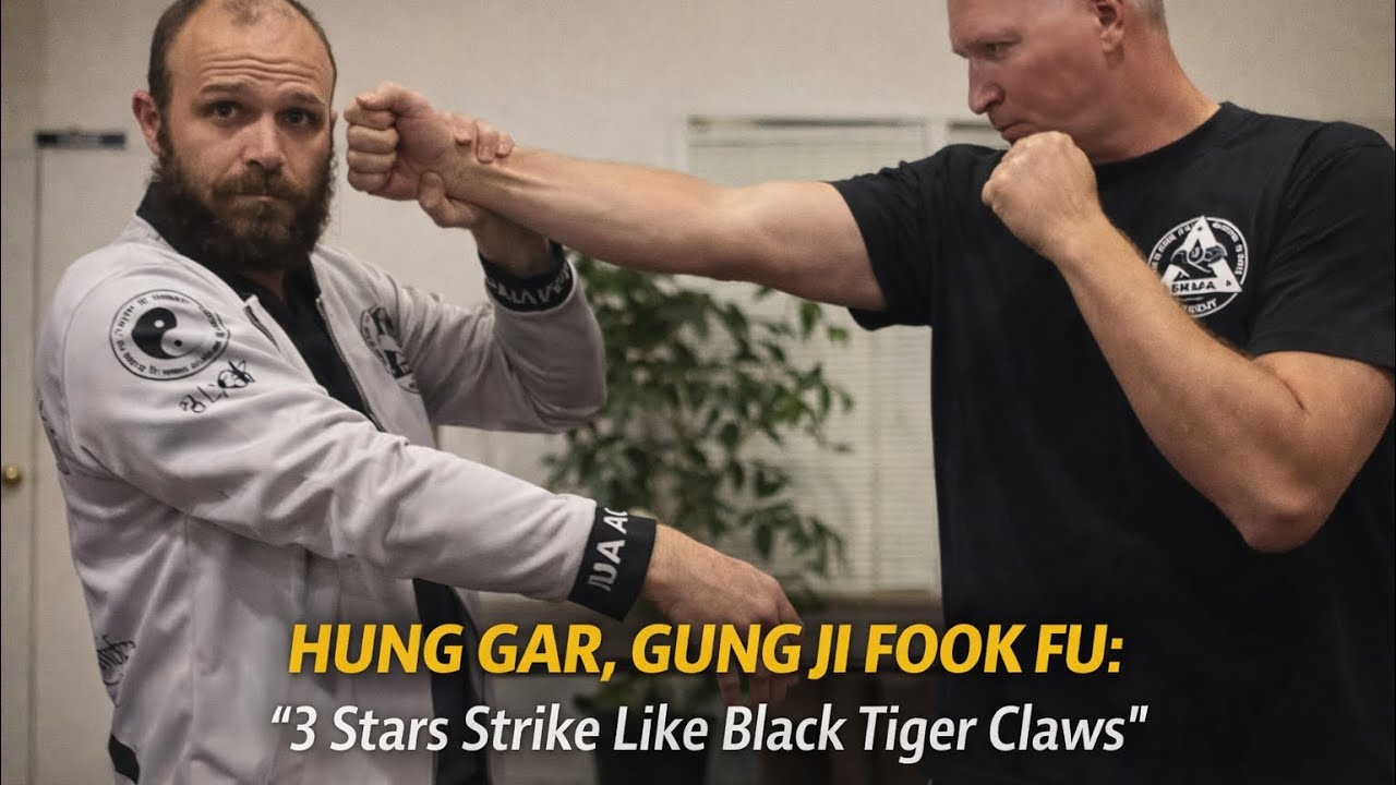 💥 Hung Gar, Gung Ji Fook Fu: Fighting Technique “3 Stars Strike Like Black Tiger Claws