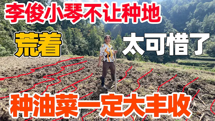 李俊小琴都反对种地，免费的荒着太可惜了，种油菜一定大丰收