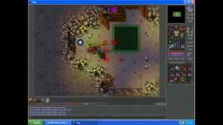 Tibia Pirate Boss Brutus Bloodbeard / Jefe Pirata de Tibia