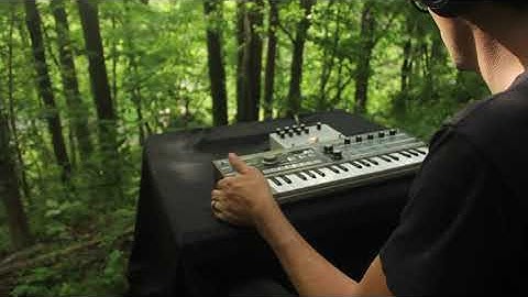 Microkorg and Microcosm