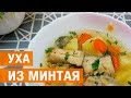 Уха из минтая