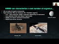 Ut planetary habitability seminar laura rodriguez lunar and planetary institute