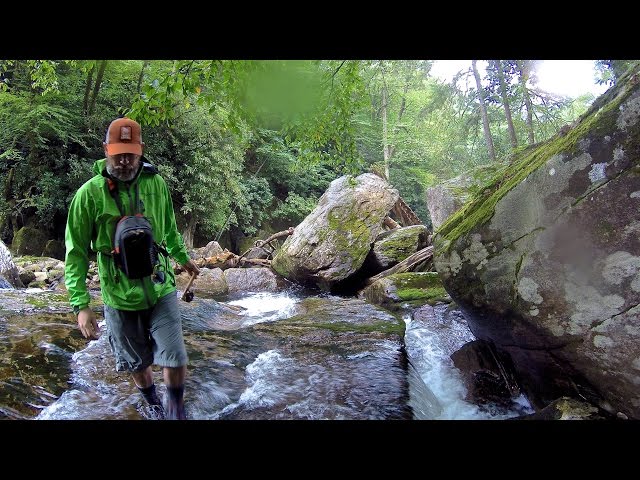Backcountry Fly Fishing For Brook Trout In Great Smoky Mountains