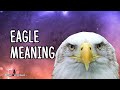 Eagle Meaning | Bald Eagle Meaning Spiritual
