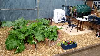 Keyhole Garden Update