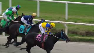 230806 c08 LEOPARD (BRZ) 230806 c08 LEOPARD (BRZ)