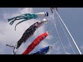 大空を舞う鯉のぼり 風舞い