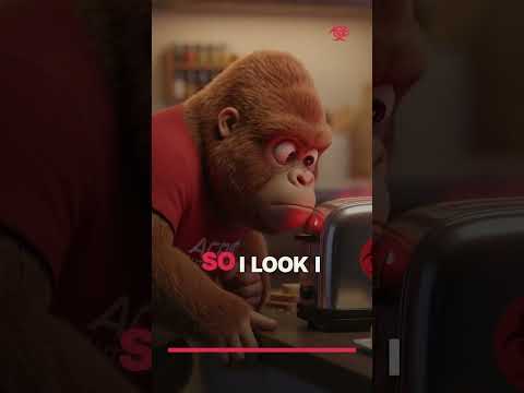 Acrid daily video — the toaster's red light is keeping score
