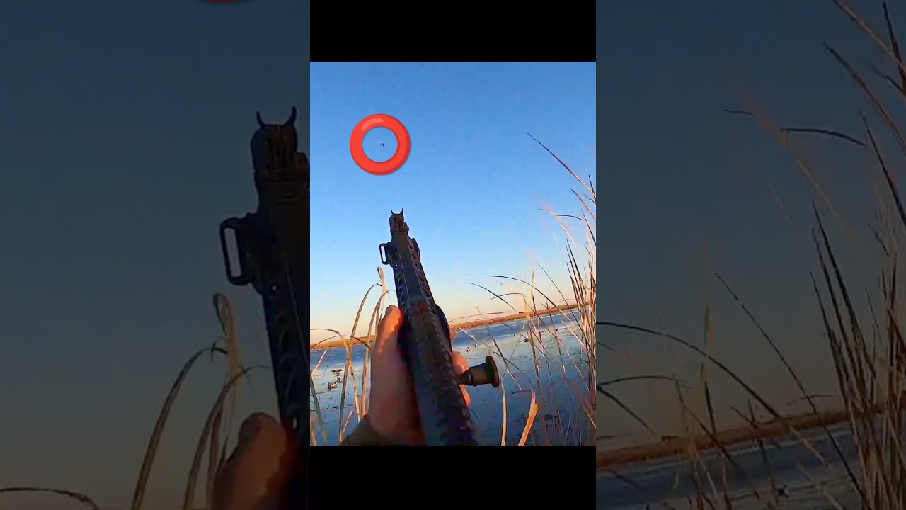 AR-12 Shotgun Duck hunting one Shot 