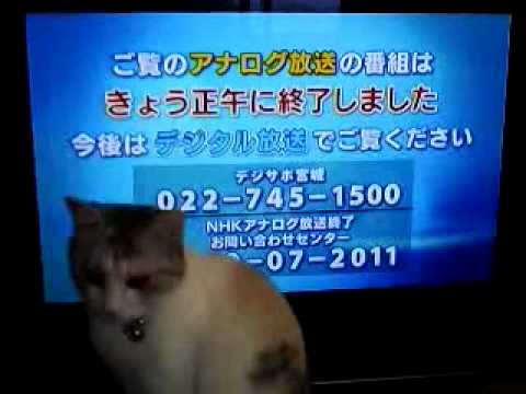 アナログ放送終了