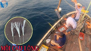 Câu Cá Bằng Mồi Câu Lông - Lưỡi Câu Lông | Tiến Bens - Fishing | 4K