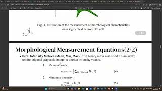 Automated Morphological Analysis of Neurons in Fluorescence Microscopy using YOLOv8
