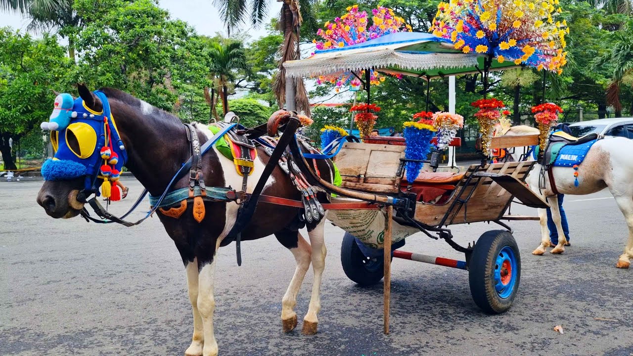 NAIK KUDA | KUDA DELMAN | LAGU DUA MATA SAYA | NAIK DELMAN ISTIMEWA | SATU SATU AKU SAYANG IBU