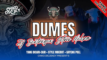 DJ BANTENGAN SATRIO MAHESO (DUMES) REMIXER BY CHIKO DSCJKY