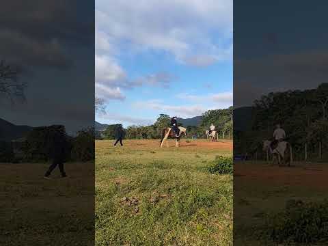 Cavalgada