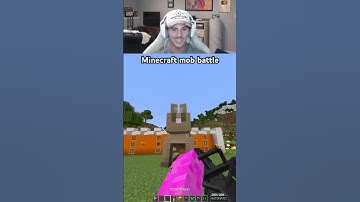 ⁠@weeetch Minecraft mob battle