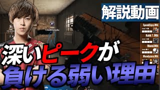 【RJL解説動画】実はこの深いピークで負けます!絶対に真似しないでください!【R6S】