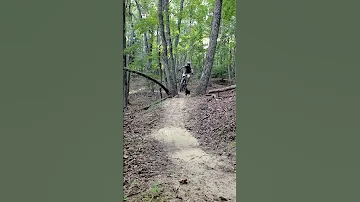 Tree Split Tabletop On Chasers Mtb Traildog Blacksburg Sendit Fullsend 