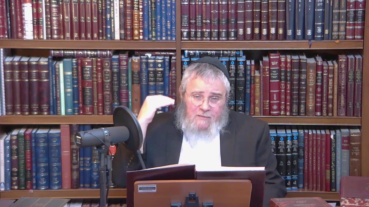 Beyond Letters:2Paths to Approaching Sacred Torah Text &Staying Connected to Its Light (2)Rav Pinson