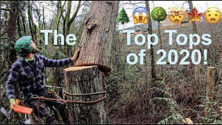 2020 Epic Tree Topping Compilation!!! by Guilty of Treeson @ Eastside Tree Works 275,455 views 3 years ago 14 minutes, 30 seconds