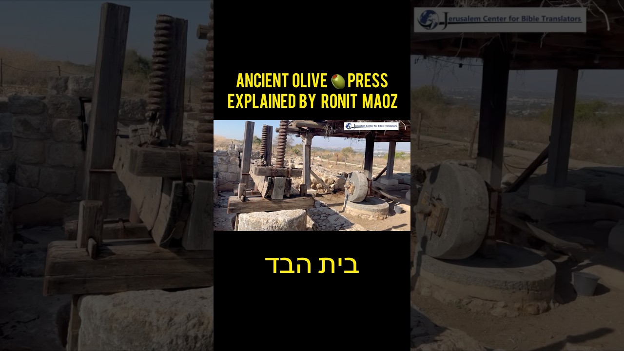 Ancient Olive 🫒Press Explained by   Ronit Maoz 