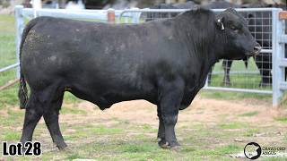 Lot 28 Crawford BGR24V584