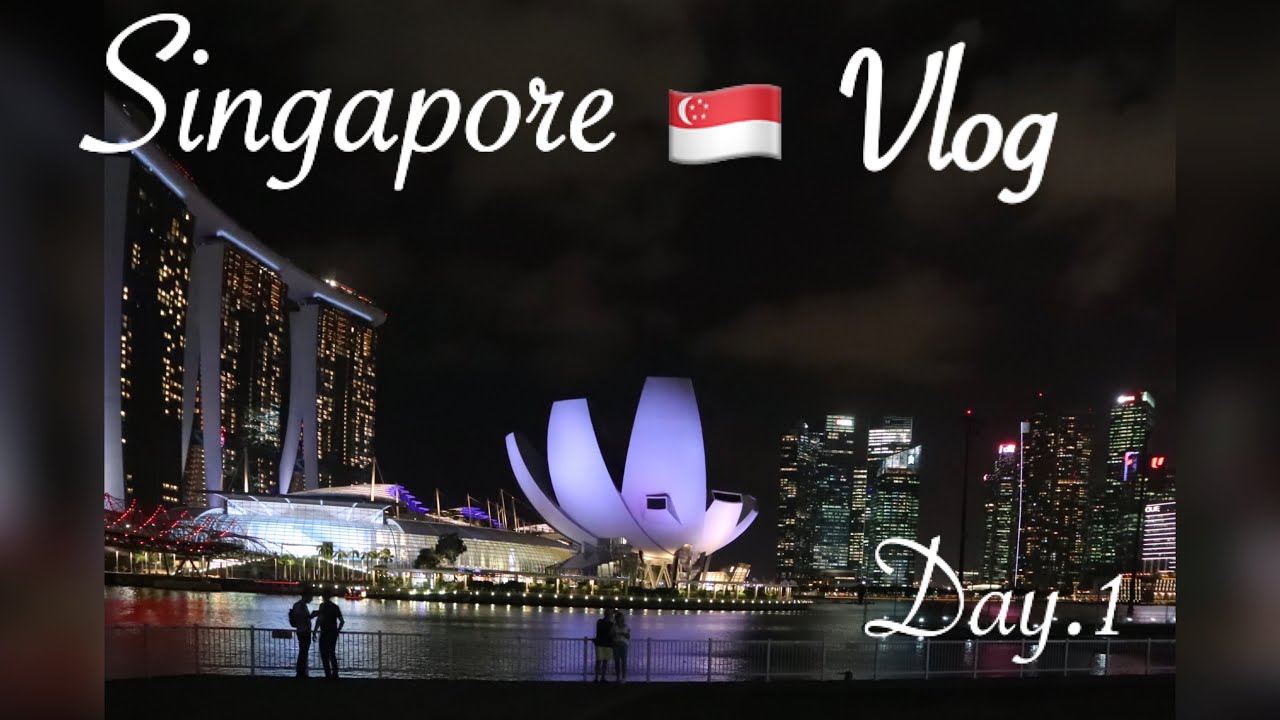 【2020年】3泊4日シンガポール🇸🇬夫婦旅行 Day.1