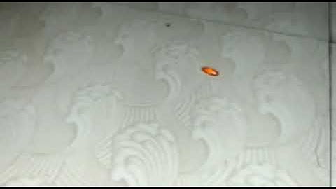 NAGMANI AVAILABLE ORIGINAL REAL FLOWER TEST CALL ME 9850478643 RUBY ROY(2)