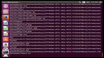 How To Install Pale Moon in Ubuntu
