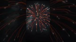 6Inch (150mm) Display Shell [ White strobe Willow ] #fireworksdisplay #pyrolove #fireworks  #pyro