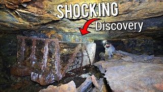 Biggest Risk I EVER Took Ended with a Shocking Discovery