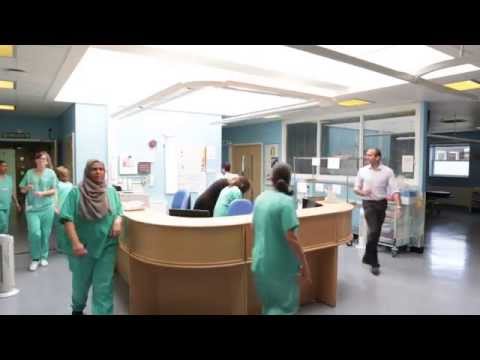 One organisation, 350 career choices by Royal Free London NHS Foundation Trust