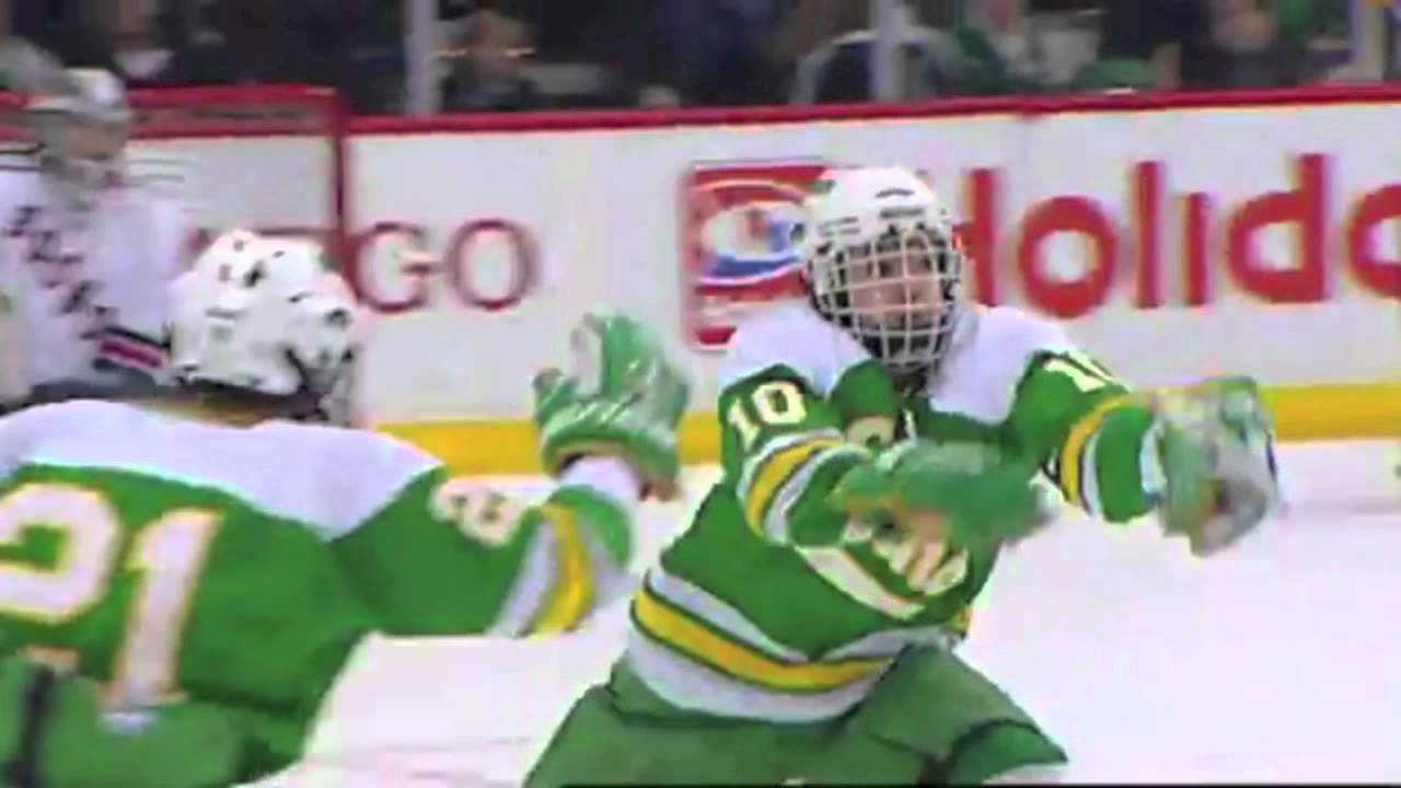Edina Champions of the 2013 Minnesota State Hockey Tournament YouTube