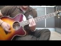 Soundgarden spoonman lesson cover