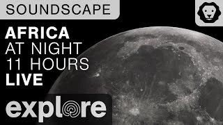 African Watering Hole Night Soundscape  - 11 Hours of Live Cam Sound