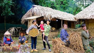 Full Video : How to make medicinal herbs from wild roots - Harvest cassava roots and then dry them