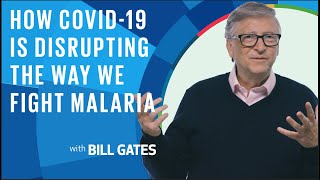 Celebrity Bill Gates: How COVID-19 Is Disrupting The Way We Fight Malaria Profile