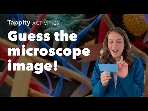 Guess The Microscope Image! Fun at home activities for kids!