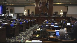 Budget proposal draws support, criticism