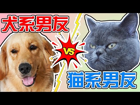 犬系男友 V S 貓系男友，妳更喜歡哪壹個？