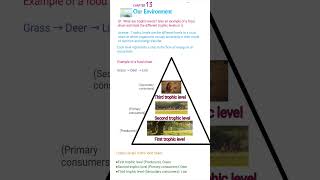 our environment class 10 one shot, #Class10Science #NCERT #Environment #Ecosystem #TrophicLevels