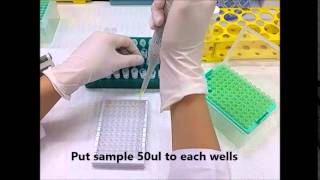 Brucella strip test procedure -